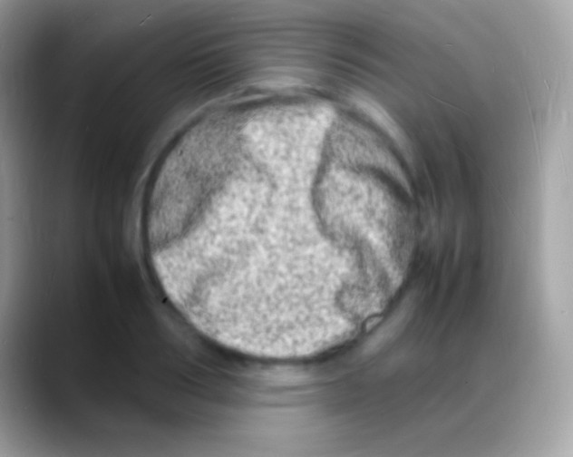 X0000088130986200706041316