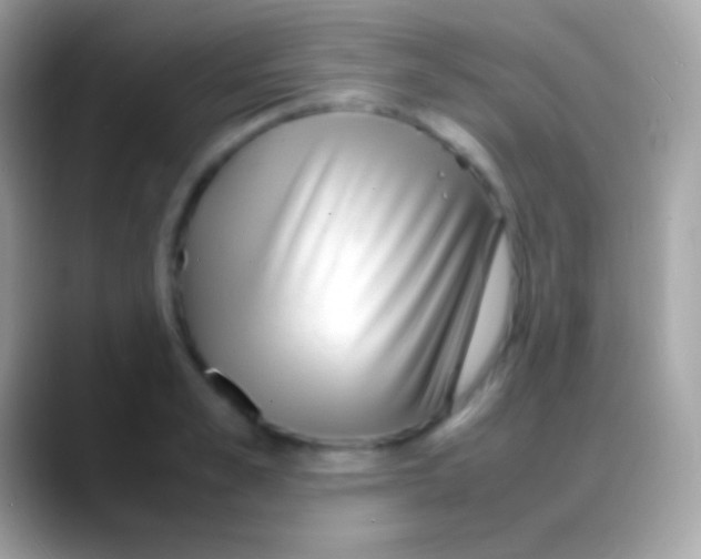 X0000088130989200706041316