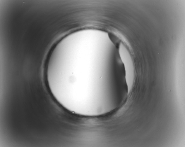 X0000088130991200706041316