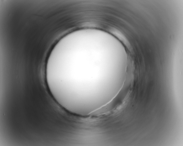 X0000088130992200706041316