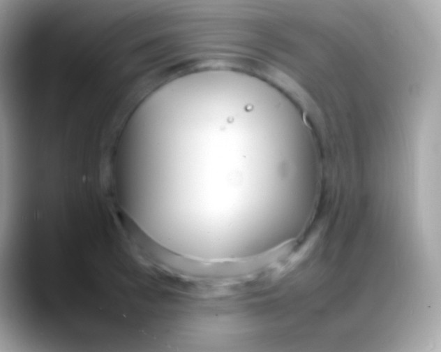 X0000088130993200706041316