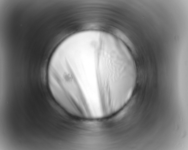 X0000088130994200706041315