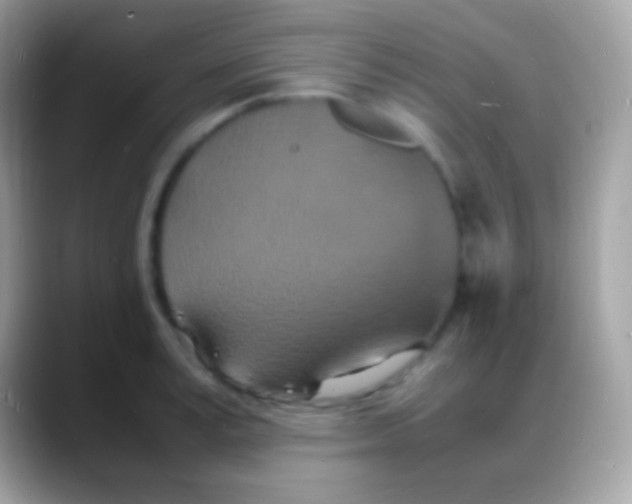 X0000088130995200706041315