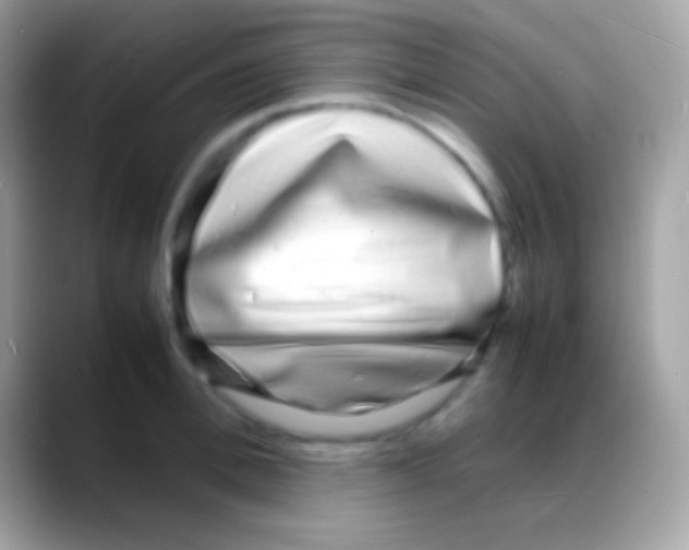 X0000088130996200706041315