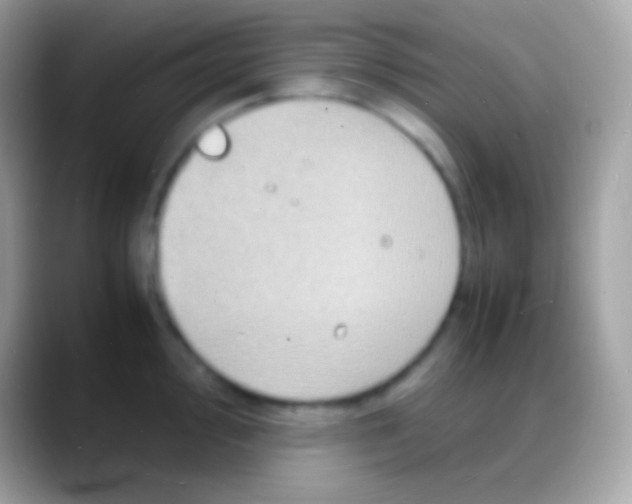 X0000088131000200706041315