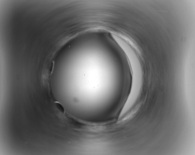 X0000088131001200706041315