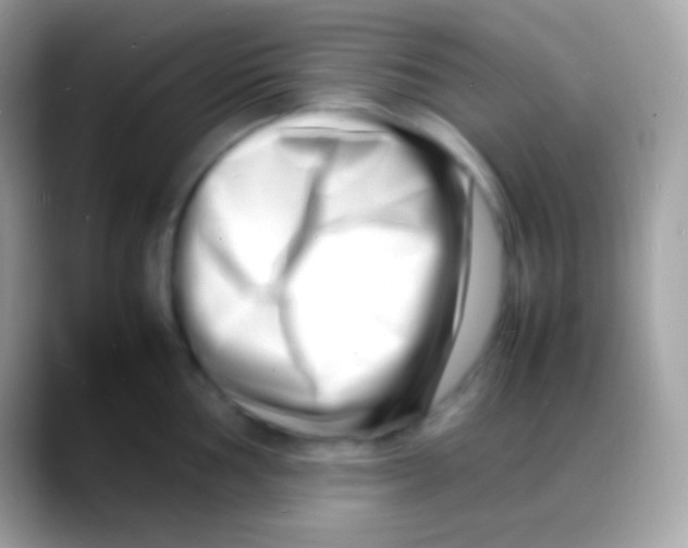 X0000088131002200706041315