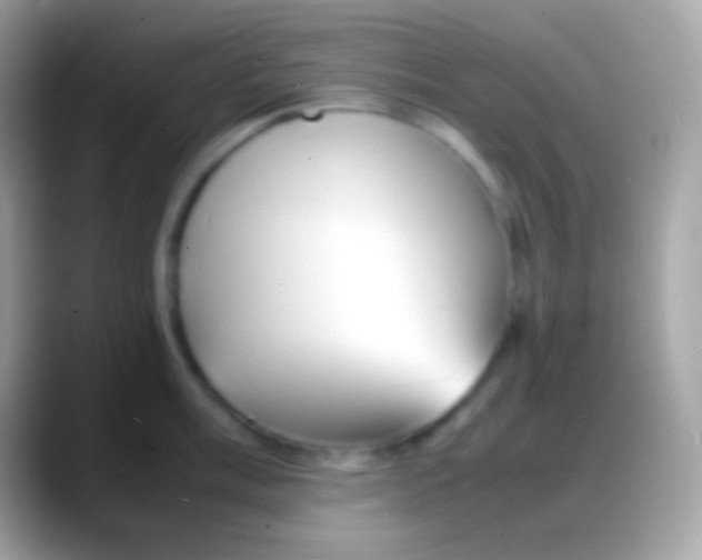 X0000088131003200706041315