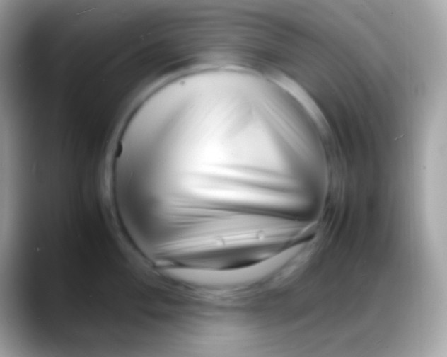 X0000088131004200706041315