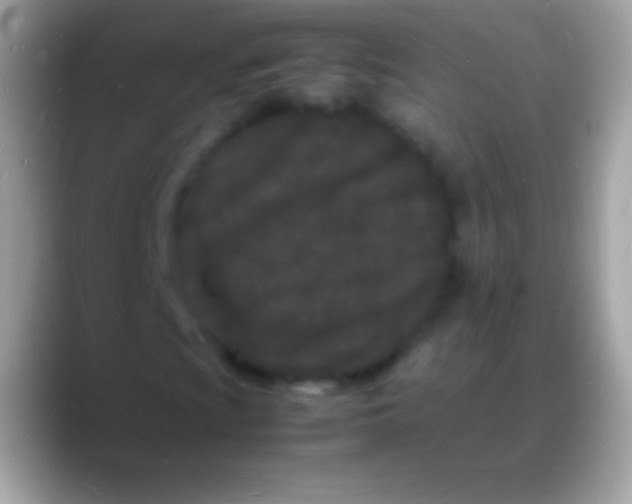 X0000088131009200706041315