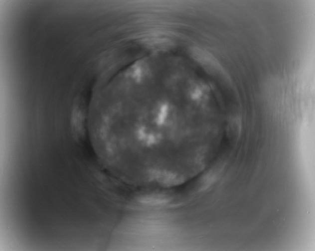 X0000088131010200706041315