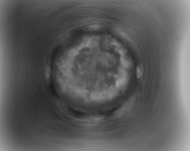 X0000088131011200706041315