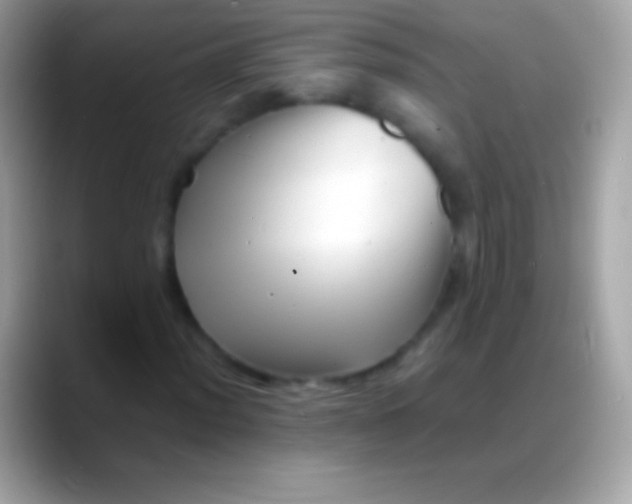 X0000088131012200706041315