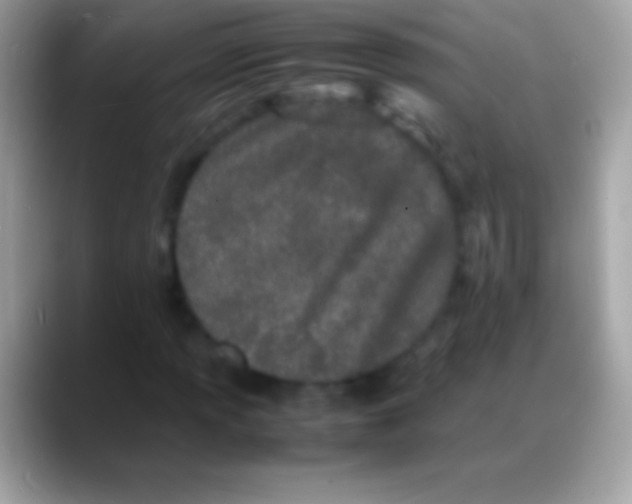 X0000088131013200706041315