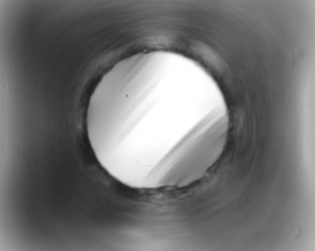 X0000088131016200706041315