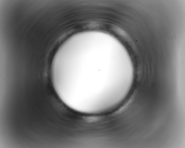 X0000088131017200706041315