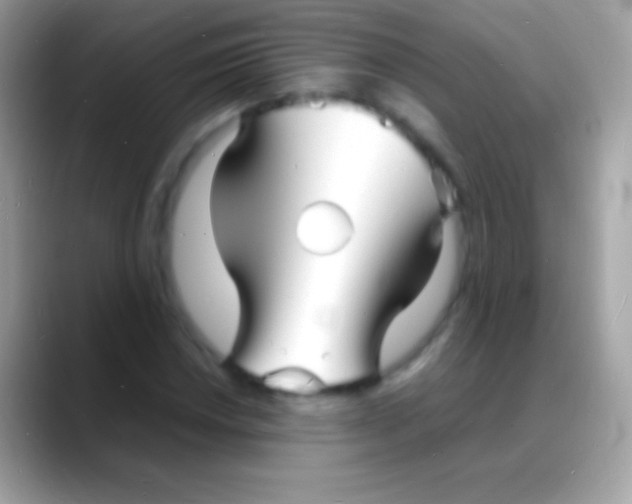 X0000088131018200706041315