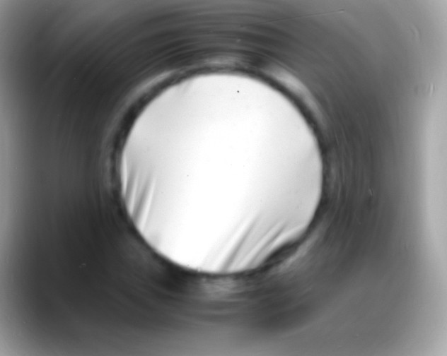 X0000088131019200706041315