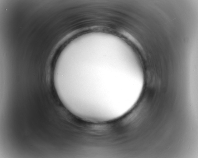 X0000088131021200706041315