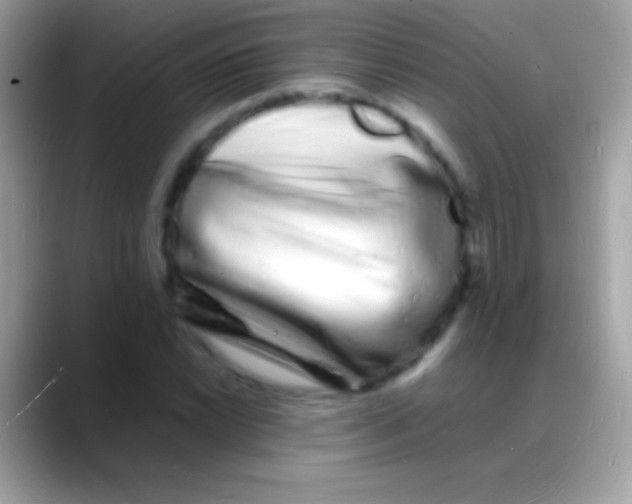 X0000088131022200706041315