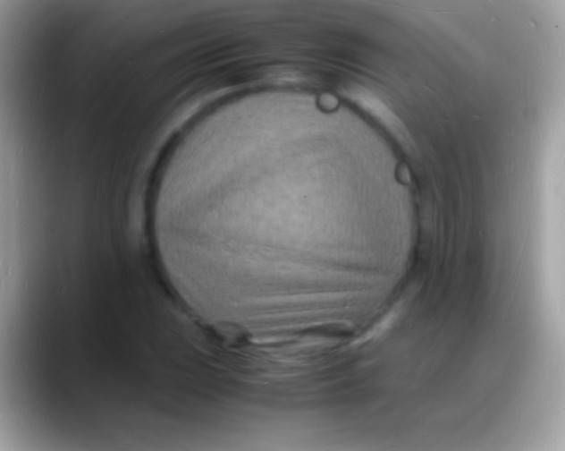 X0000088131023200706041315