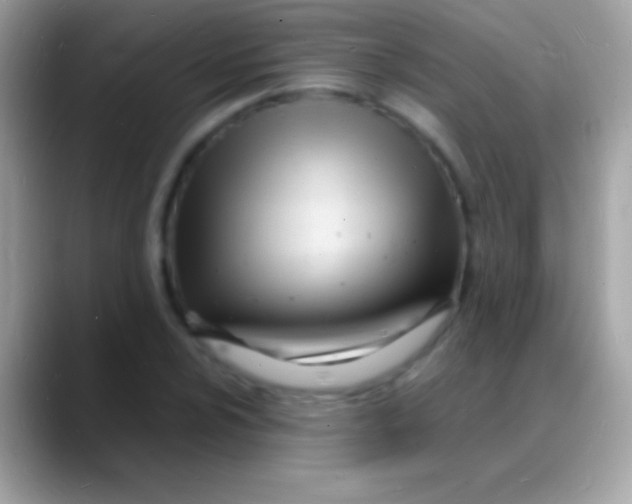 X0000088131024200706041315