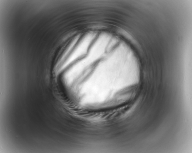 X0000088131025200706041315