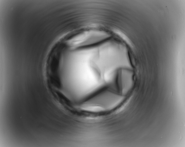 X0000088131026200706041315