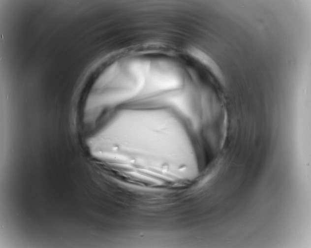 X0000088131027200706041315