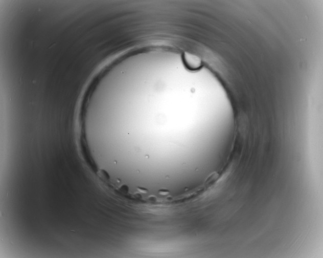 X0000088131028200706041315