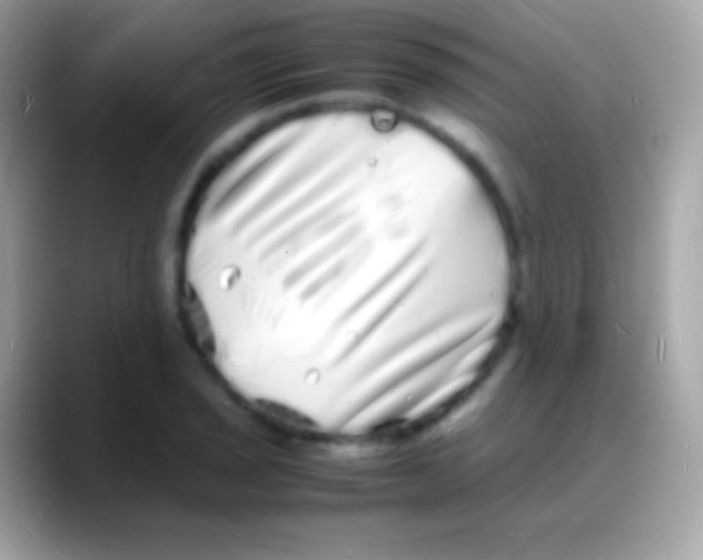 X0000088131029200706041315