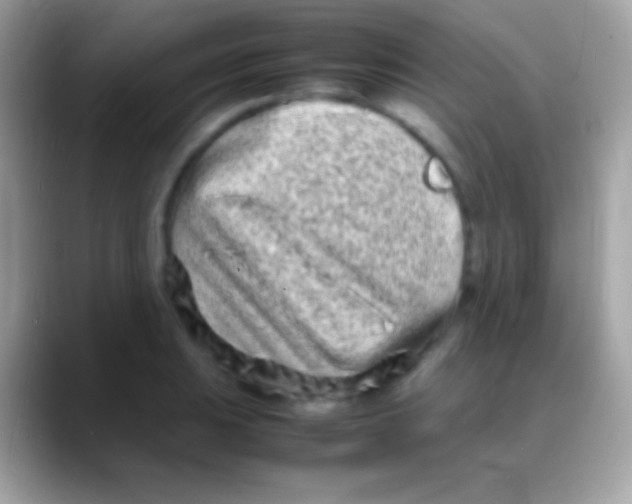 X0000088131031200706041315