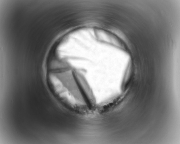 X0000088131032200706041315