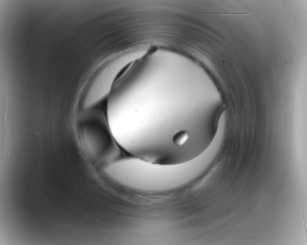 X0000088131034200706041315