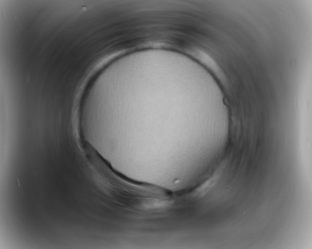 X0000088131035200706041315