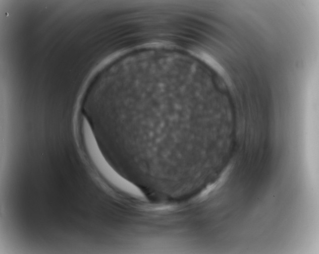 X0000088131037200706041315