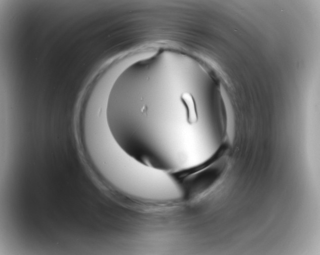 X0000088131038200706041315