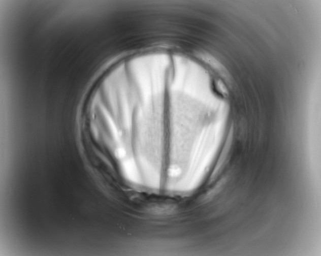 X0000088131039200706041315