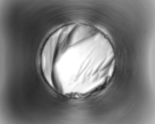 X0000088131040200706041315