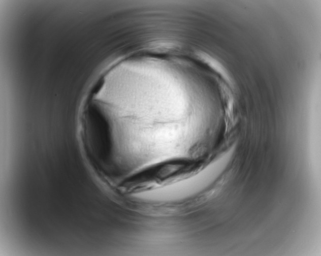 X0000088131042200706041315