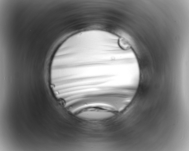 X0000088131043200706041315