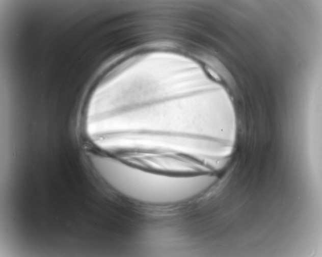 X0000088131044200706041315