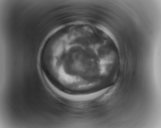 X0000088131045200706041315