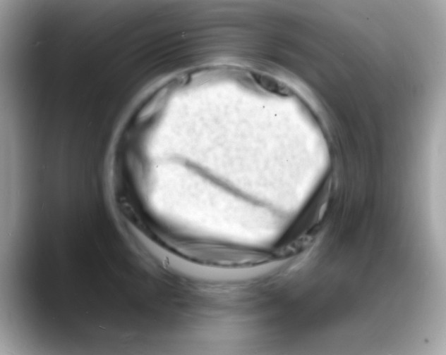 X0000088131048200706041315