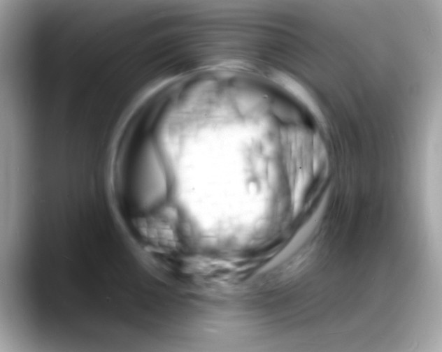 X0000088131050200706041315