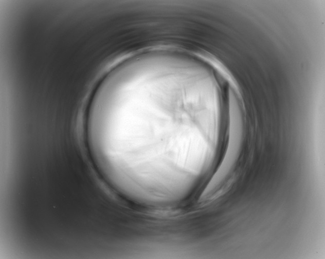 X0000088131053200706041315