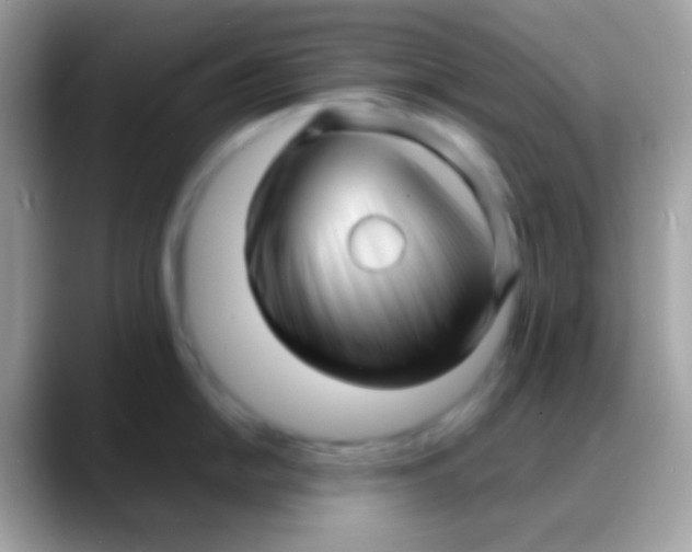 X0000088131054200706041315