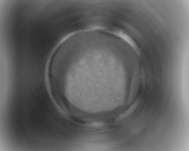 X0000088131055200706041315