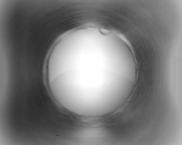 X0000088131056200706041315