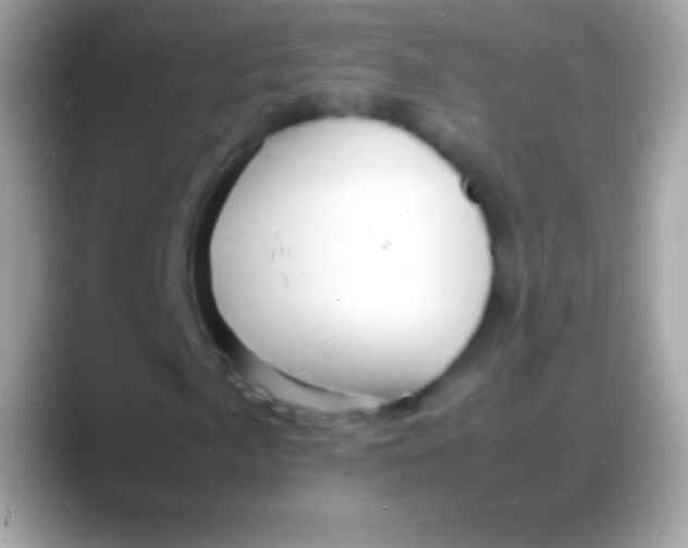 X0000088131057200706041315